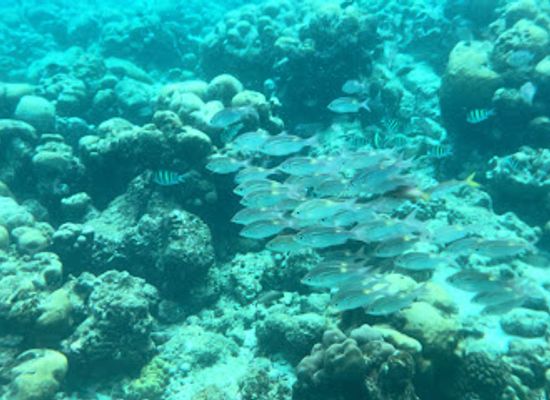 maldives/kaafu-atoll/attraction/acqua-sports-beach