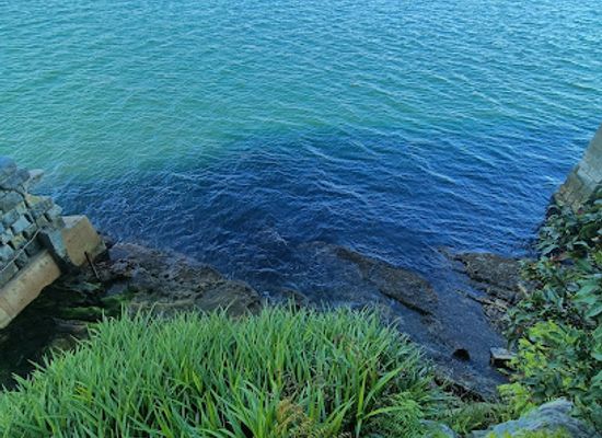 australia/sydney-basin/attraction/mary-booth-lookout-reserve