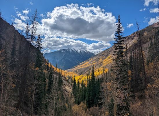 colorado/uncompahgre-plateau/attraction/uncompahgre-wilderness
