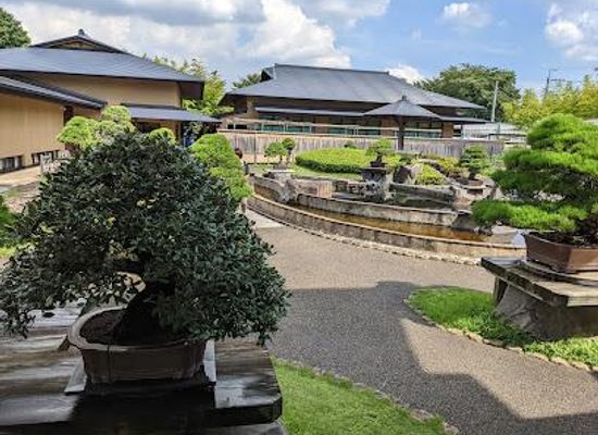 japan/tokyo/attraction/omiya-bonsai-art-museum