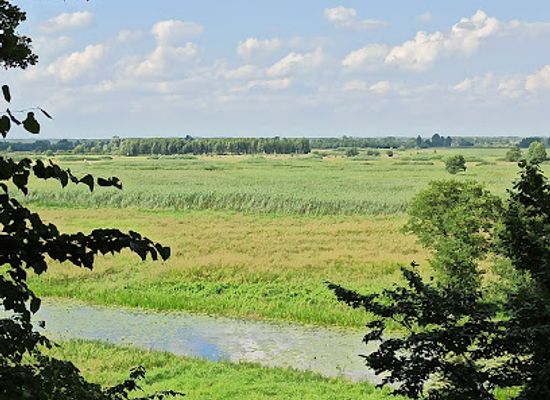 poland/suwalszczyzna/attraction/biebrzanski-park-narodowy