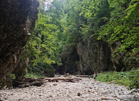 romania/cheile-nerei-national-park/attraction/cheile-oltetului
