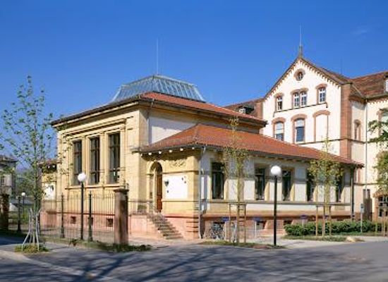 germany/heidelberg/attraction/sammlung-prinzhorn