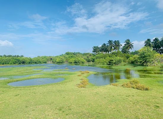 sri-lanka/hambantota-district/attraction/ussangoda-national-park