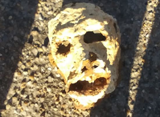 alabama/wiregrass/attraction/wiregrass-archaeological