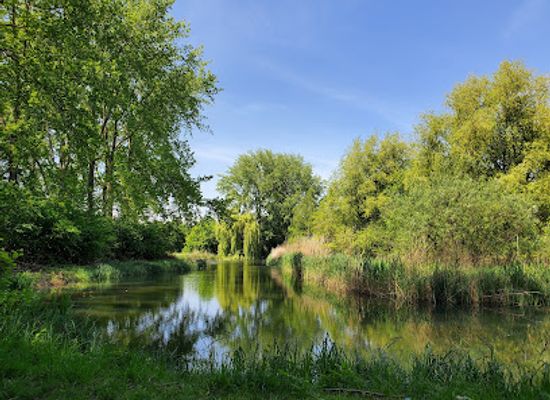 netherlands/alblasserwaard/attraction/the-gorzen