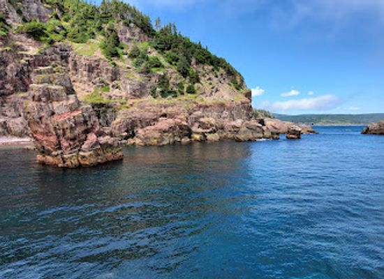 canada/avalon-peninsula/attraction/gatherall-s-puffin-whale-watch