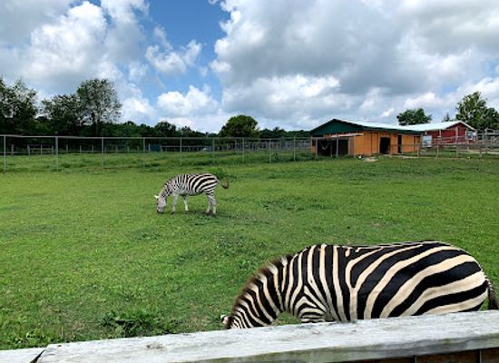 maryland/susquehanna-river-valley/attraction/plumpton-park-zoo