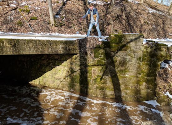 iowa/great-river-road/attraction/bixby-state-preserve