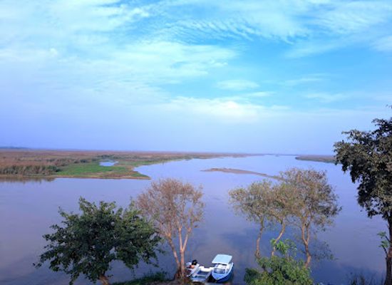 india/punjab/attraction/harike-pattan-bird-sanctuary
