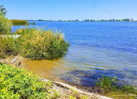 california/san-joaquin-valley/attraction/antioch-dunes-national-wildlife-refuge