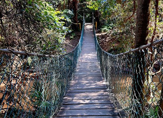 australia/central-coast/attraction/strickland-state-forest