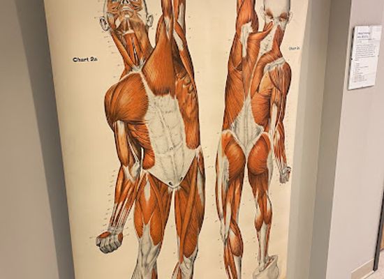 pennsylvania/lancaster/attraction/lancaster-medical-heritage-museum