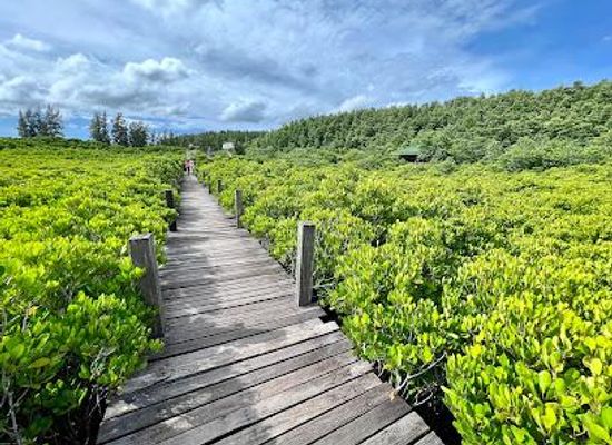 thailand/rayong/attraction/thung-prong-thong-golden-meadow