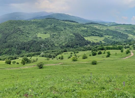 romania/dambovita/attraction/belvedere-comarnic
