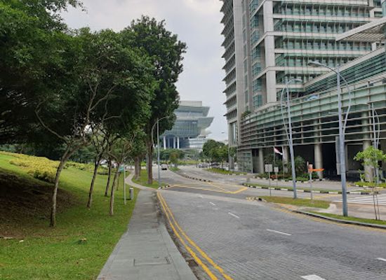 singapore/central-business-district/attraction/one-north-park-biopolis