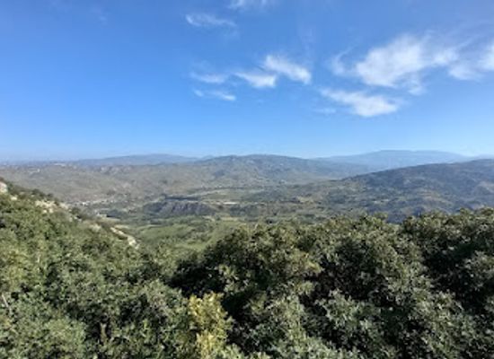 cyprus/paphos-forest/attraction/oreites-forest