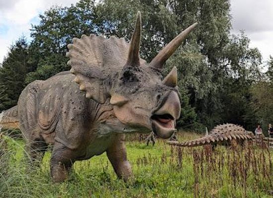 united-kingdom/shropshire/attraction/hoo-zoo-and-dinosaur-world