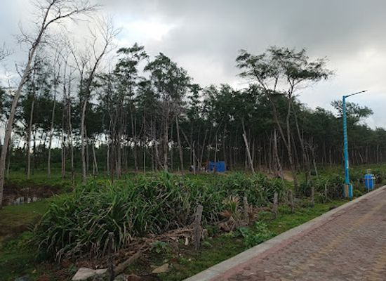 india/digha/attraction/new-digha-jhau-ban