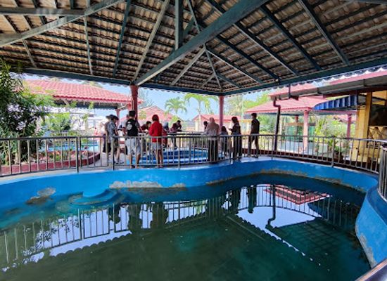 malaysia/east-malaysia/attraction/cherating-turtle-sanctuary