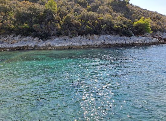 croatia/hvar/attraction/floriana-park