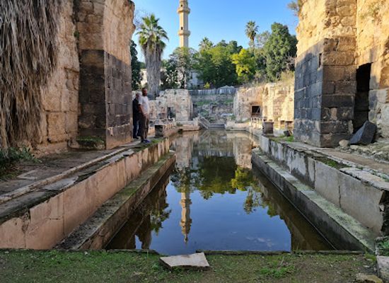 jordan/um-qais/attraction/ein-gonns