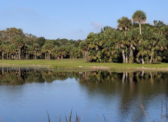 florida/southwest-florida/attraction/harns-marsh