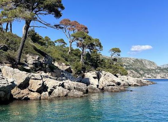 croatia/dubrovnik/attraction/lokrum
