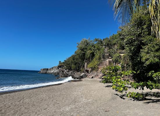 dominica/saint-andrew/attraction/salisbury-beach