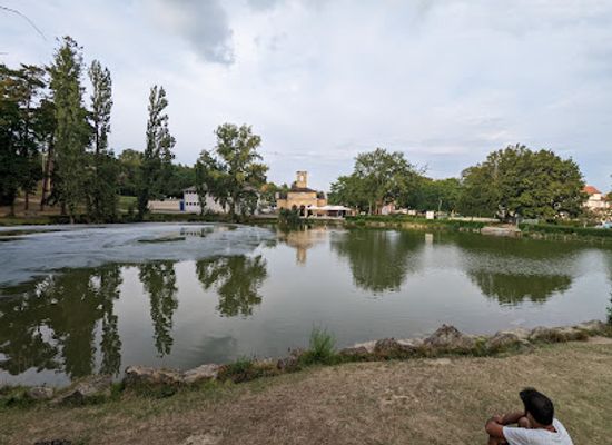 austria/lake-neusiedl/attraction/maschinenteich-schlosspark-eisenstadt