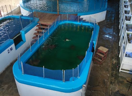 kenya/coastal-region/attraction/kenya-tropical-sealife-ltd
