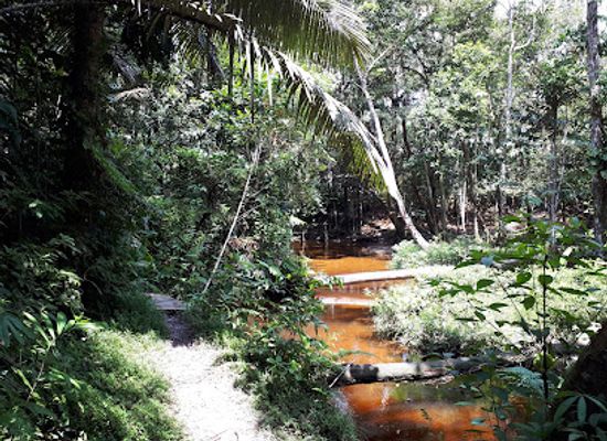 colombia/leticia/attraction/reserva-agape