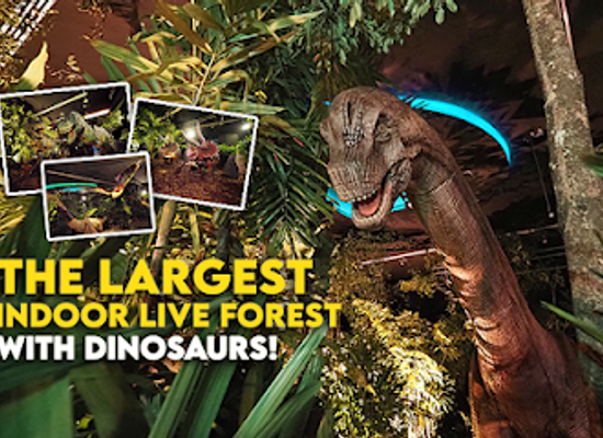 singapore/ang-mo-kio/attraction/dinoland-singapore