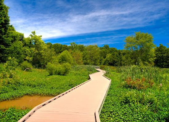 virginia/northern-virginia/attraction/huntley-meadows-park