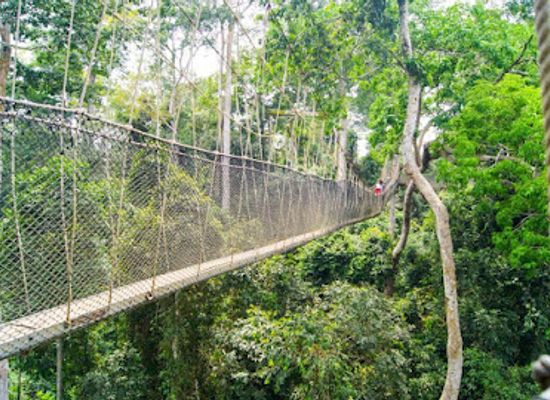ghana/kakum-national-park/attraction/authentic-africa-tours