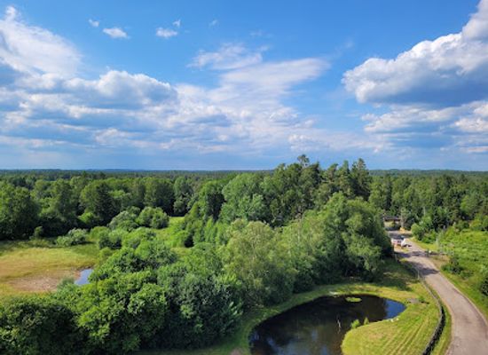sweden/gotaland/attraction/smalandet-moose-safari