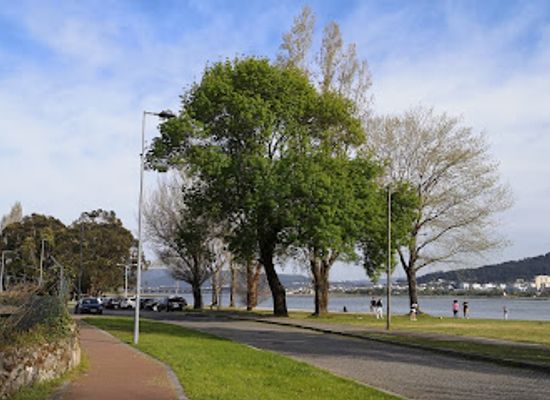 portugal/viana-do-castelo/attraction/city-park
