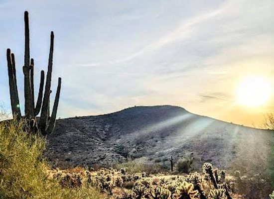 arizona/tonto-national-forest/attraction/lost-dog-wash-trailhead