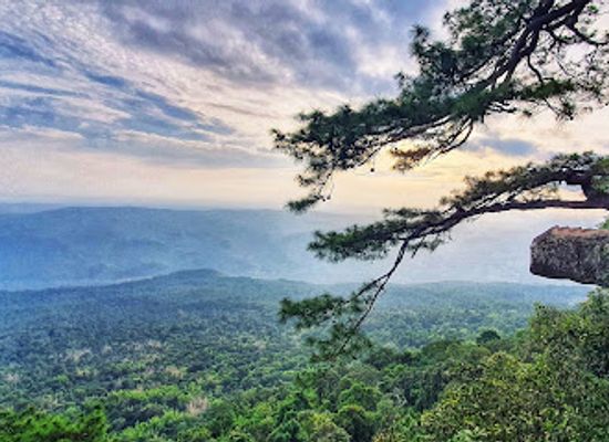 thailand/loei/attraction/phu-kradueng-national-park