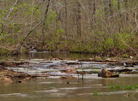 arkansas/ouachita-national-forest/attraction/iron-springs-roadside-park