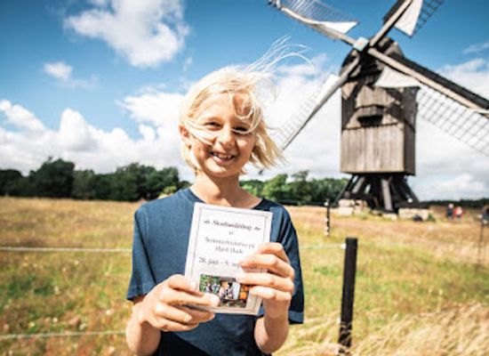 denmark/central-jutland/attraction/hjerl-hede-open-air-museum
