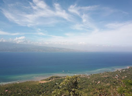 haiti/nord-ouest/attraction/haut-palmiste