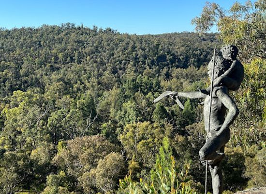 australia/new-england/attraction/pilliga-forest-discovery-centre