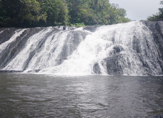 palau/babeldaob/attraction/arumonogui-no-taki