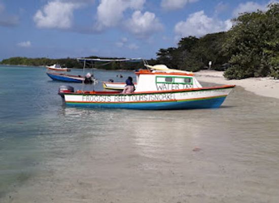 grenada/saint-david/attraction/froggy-s-reef-tours-snorkeling-carriacou