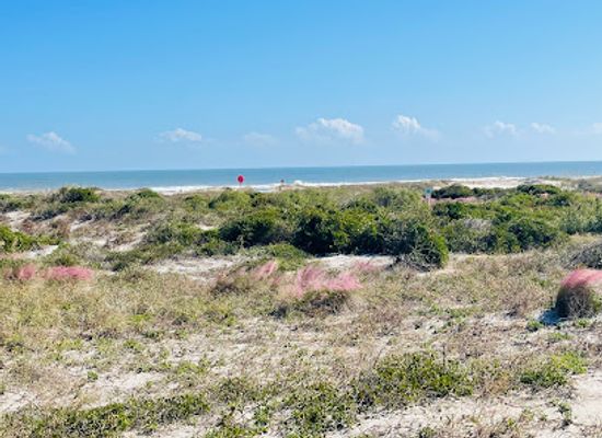 florida/amelia-island/attraction/little-talbot-island-state-park