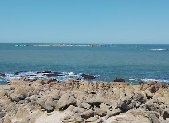 uruguay/salto-grande-dam/attraction/cabo-polonio-area-protegida