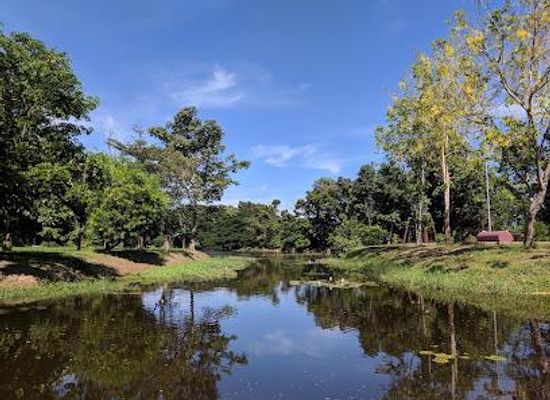 thailand/tenasserim-hills/attraction/cha-am-forest-park