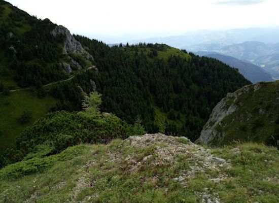 romania/ceahlau-national-park/attraction/voda-s-gutter
