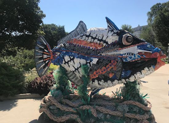 illinois/chicagoland/attraction/shedd-aquarium